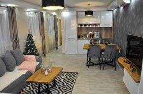 Отель Aria lux Apartment  Врдник